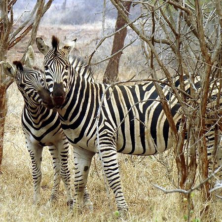 Ndlovu Log Home Dinokeng Klipdrift Zewnętrze zdjęcie