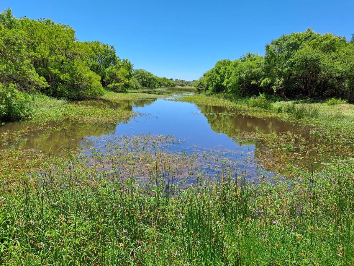 Ndlovu Log Home Dinokeng Klipdrift Zewnętrze zdjęcie