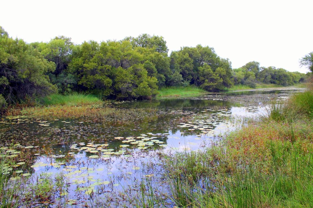 Ndlovu Log Home Dinokeng Klipdrift Zewnętrze zdjęcie