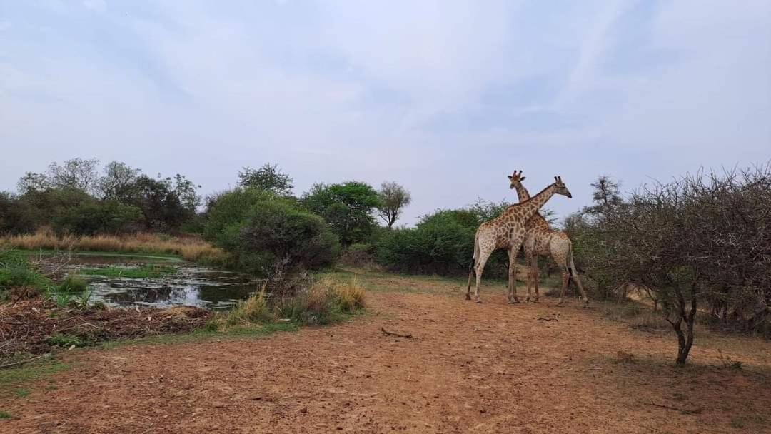 Ndlovu Log Home Dinokeng Klipdrift Zewnętrze zdjęcie