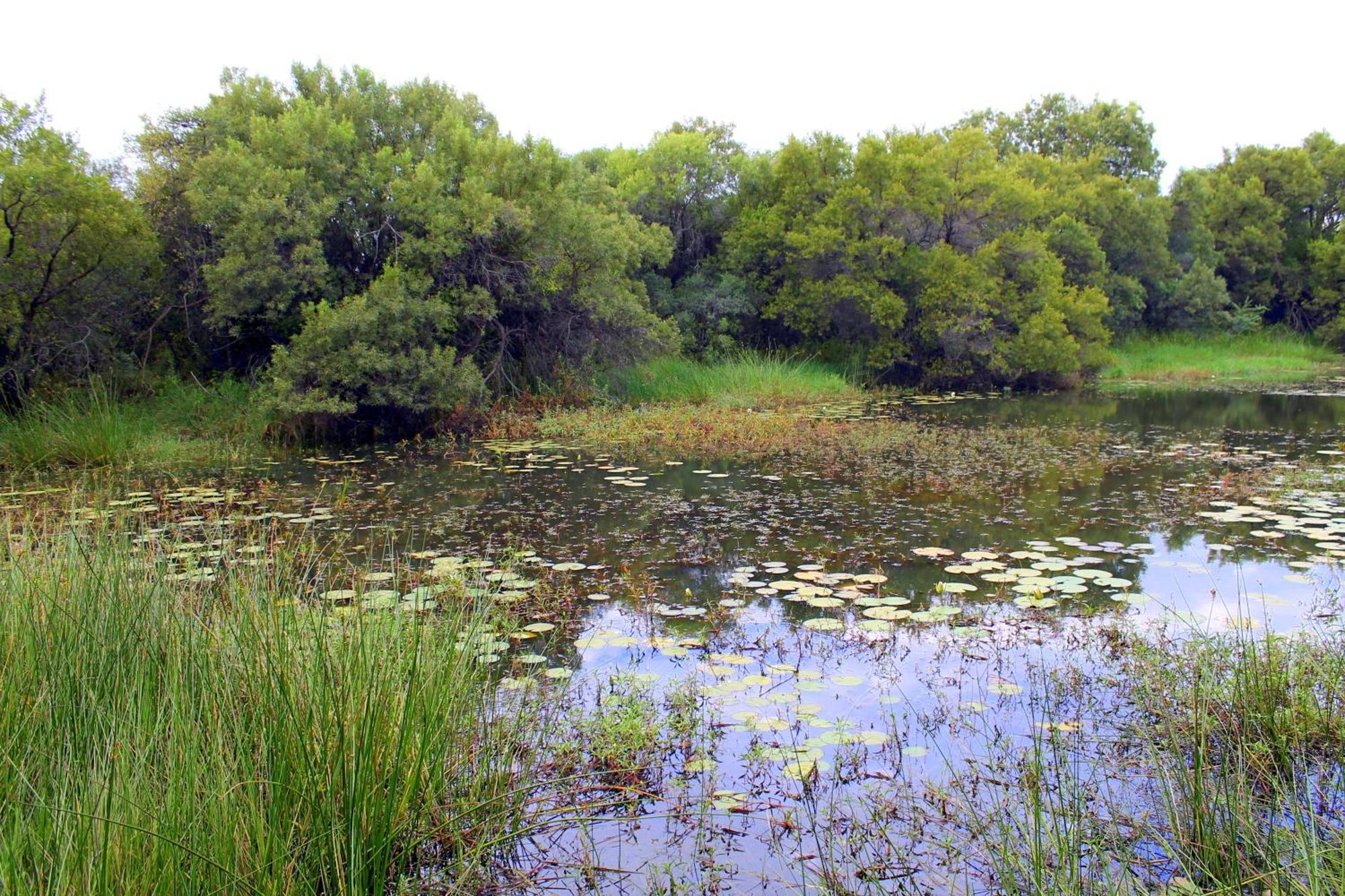 Ndlovu Log Home Dinokeng Klipdrift Zewnętrze zdjęcie