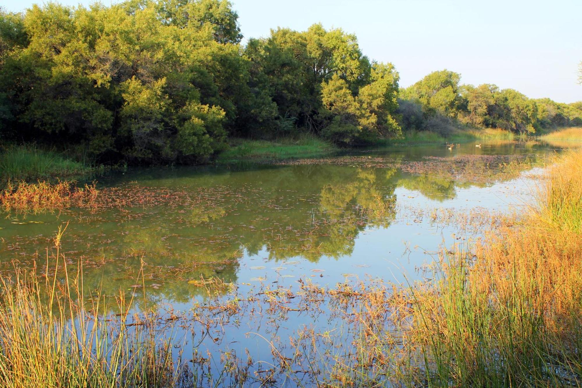 Ndlovu Log Home Dinokeng Klipdrift Zewnętrze zdjęcie
